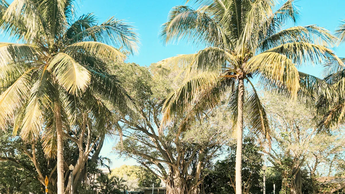 Design and Finish Options